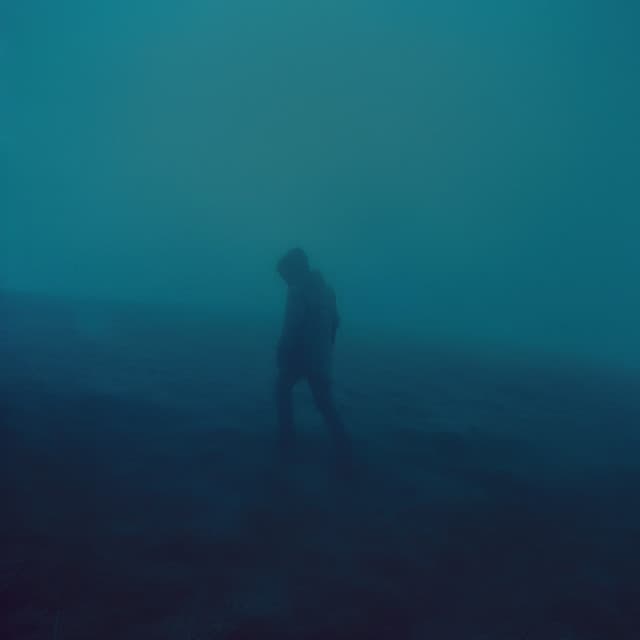 .diedlonely