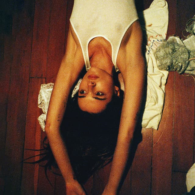 Charlotte Lawrence
