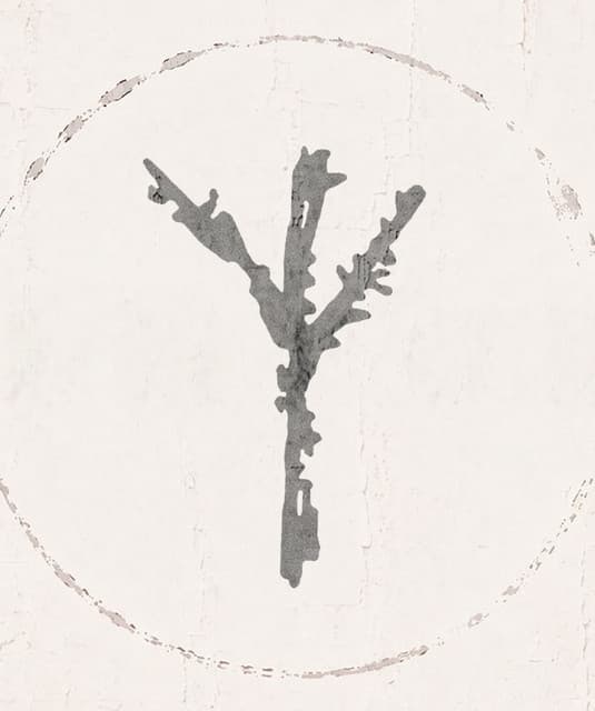 Árbol