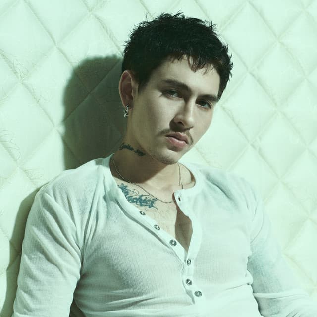 GAVIN:D
