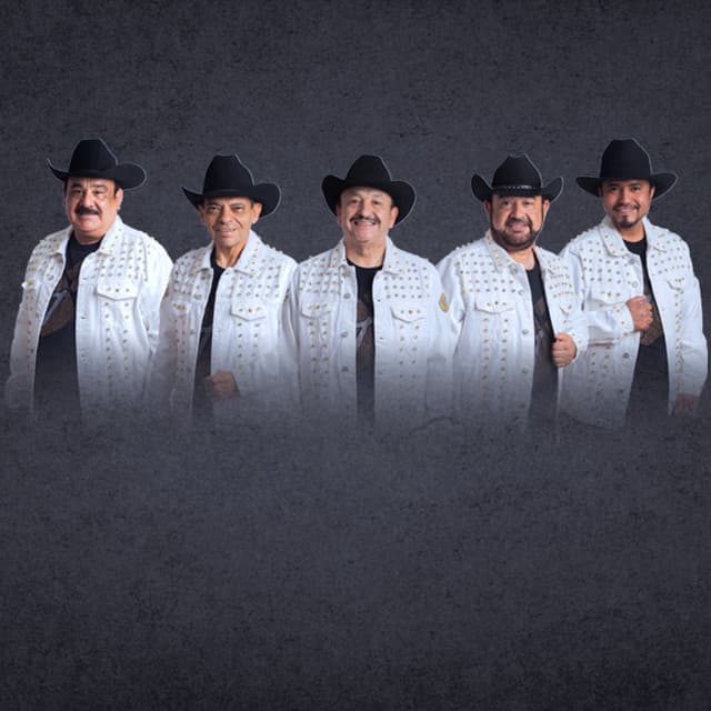 Los Tigrillos